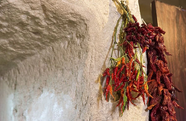 Dried pepper. Matera. Sassi. Basilicata. Italy. Europe