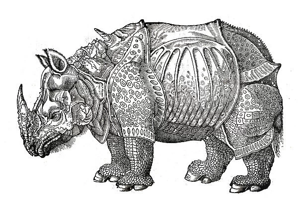 Rhino from Topsells The history of four-footed beasts and serpents Date: 1658