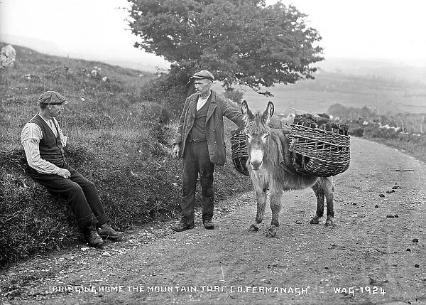Bringing Home the Mountain Turf, Co. Fermanagh