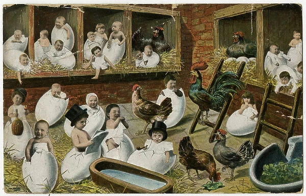 Children Hatch out 1905