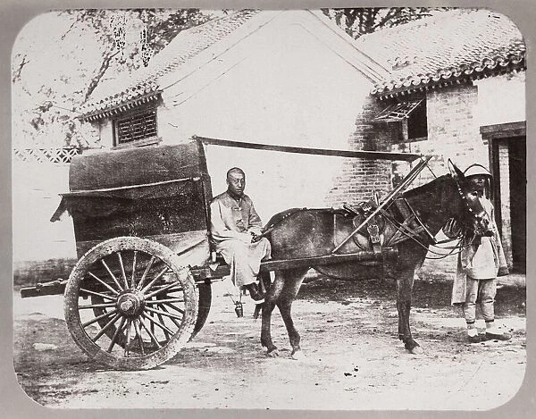 Chinese horse and cart with driver, China