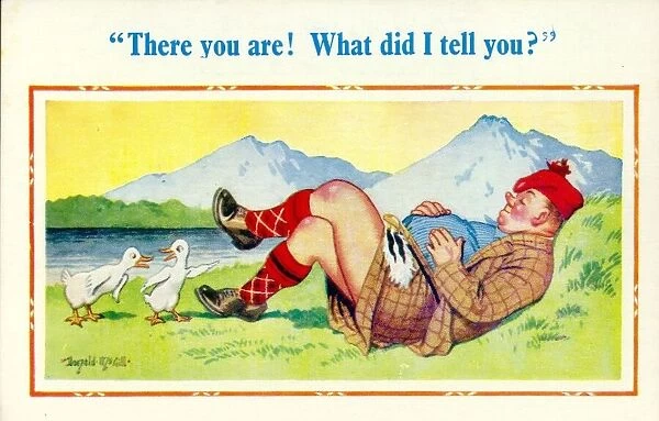 Comic postcard, Two ducks and a sleeping Scotsman Date: 20th century