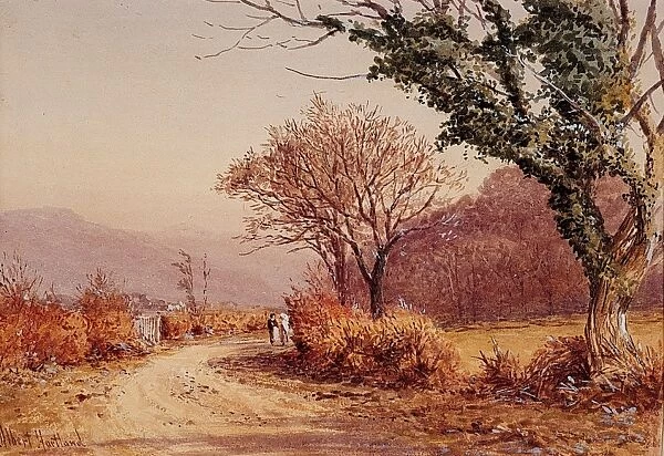 A Country Lane