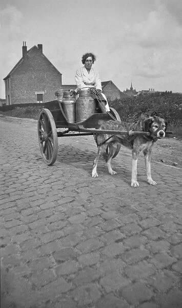 Dog and Milkcart