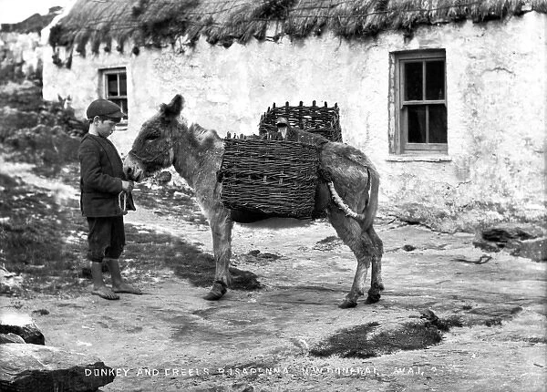 Donkey and Creels Rosapenna, NW Donegall