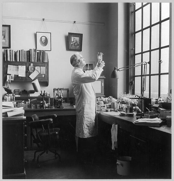Fleming in his Lab  /  Photo
