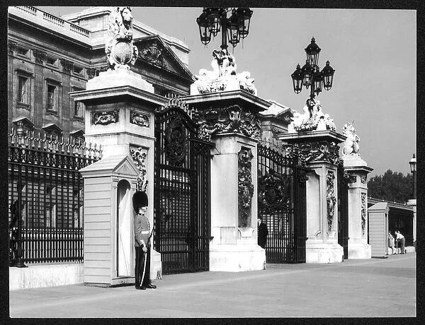 Guard  /  Buckingham Palace