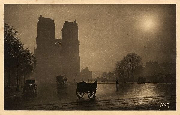Notre Dame - Paris - Misty Morning Light