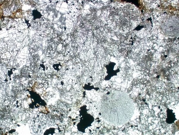 Optical microscope image of the Barwell (Type 6) chondrite