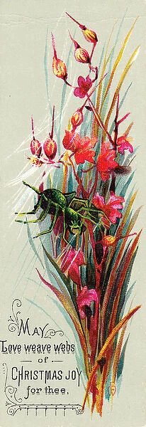 Pink flowers and spider on a Christmas card