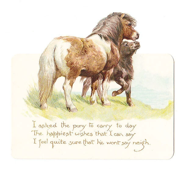 Two ponies on a birthday card