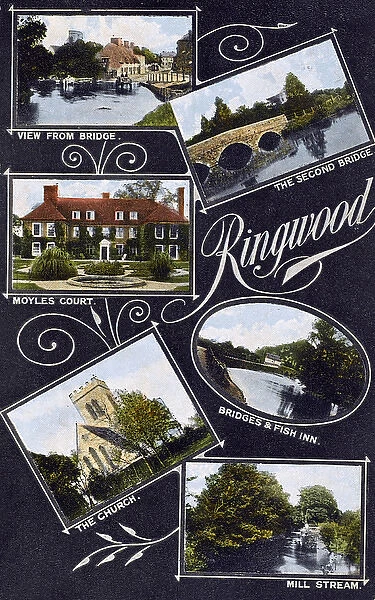 Ringwood, Hampshire - Various sights