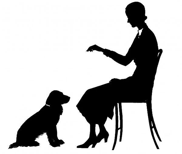 Silhouette of woman training dog