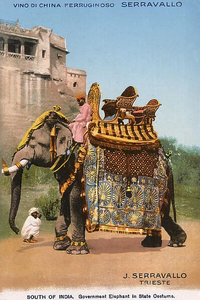 South Indian Elephant in full State garb