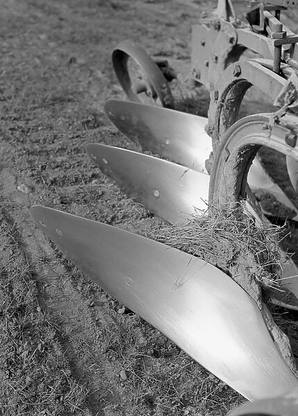 Sun on steel. Old plough blades shining in the sun