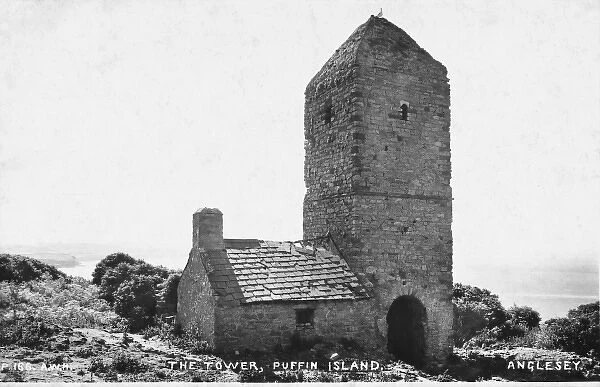 The Tower, Puffin Island, Anglesey