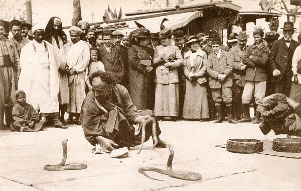 Tunisia - Tunis - Street Snake Charmer with a pair of cobras