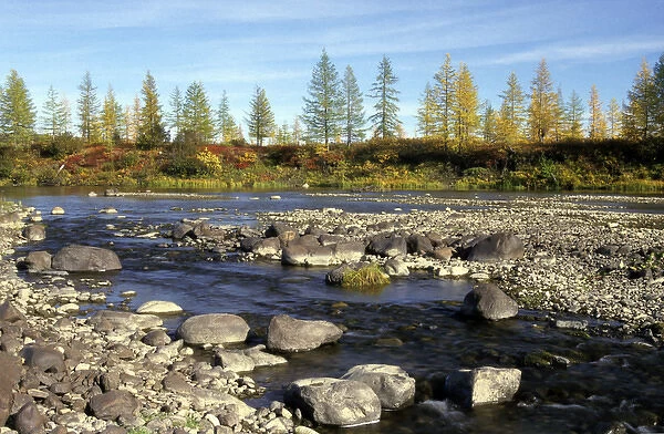 A typical small river in semi-tundra in autumn