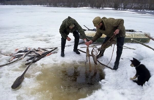 Under-ice net fishing, typical in Russia and particularly
