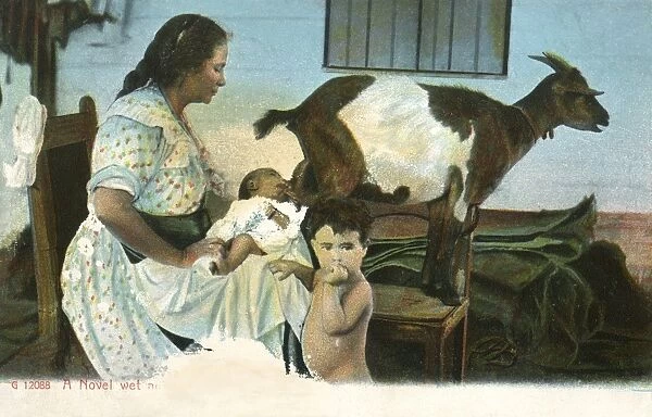 Wet nurse feeds baby using a goat
