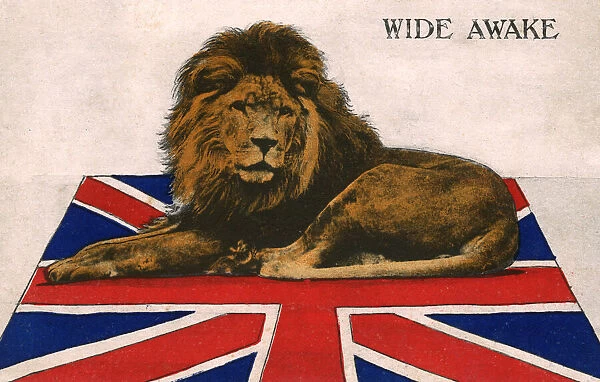 WW1 - The British Lion wide awake and ready for action