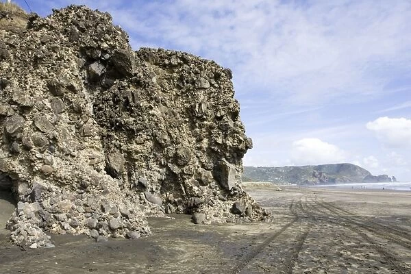 Conglomerate rock outcrops. Tiha beach - Waitaki Waitakere Ranges - Auckland - New Zealand