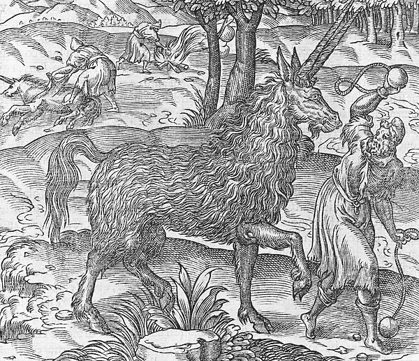 Arabian horned creature, 16th century