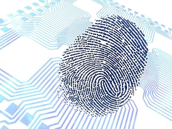 Biometric fingerprint scan, artwork