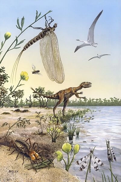 Cretaceous of Brazil, prehistoric scene C013  /  7112
