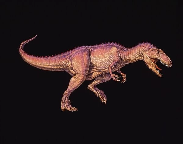 Giganotosaurus dinosaur