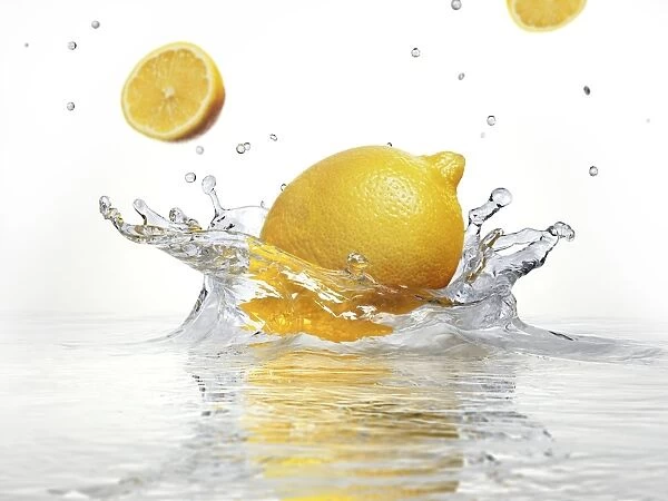Lemon splashing into water, artwork F007  /  8275