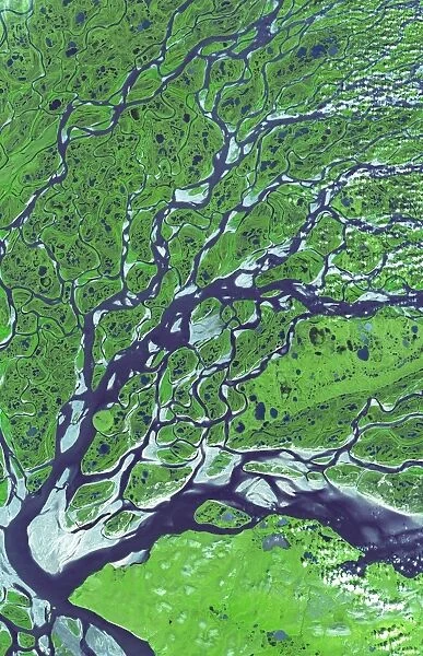 Lena River Delta, satellite image