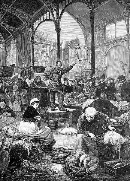 Paris fish market, 1880s C017  /  6915