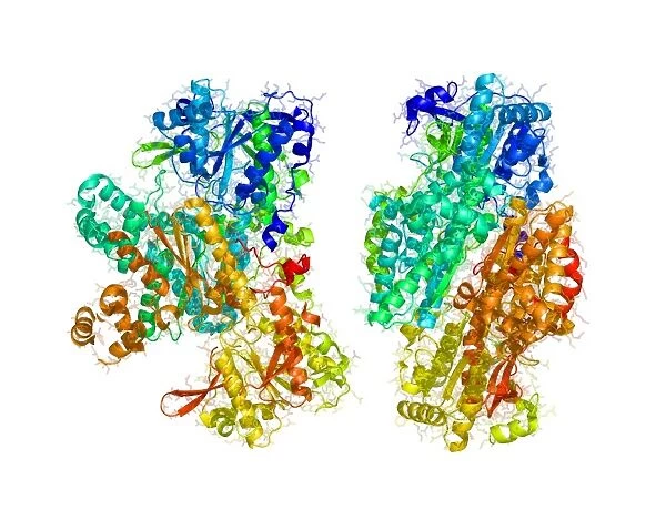 Phosphofructokinase bacterial enzyme