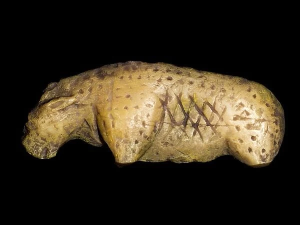Prehistoric carved lion, Vogelherd Cave C015  /  6731