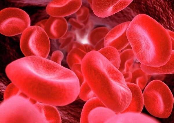 Red blood cells, computer artwork