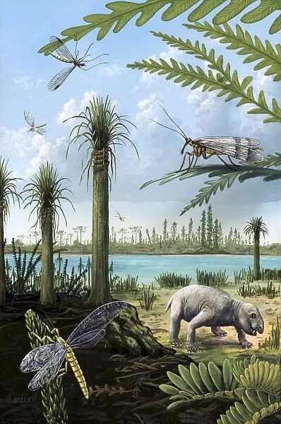 Triassic of Australia, prehistoric scene C013  /  7114