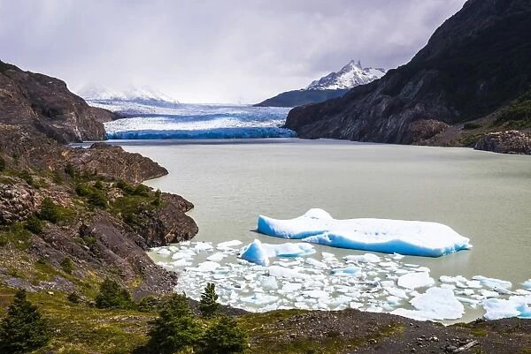 Icebergs in Grey Lake (Lago Grey) with Grey Glacier (Glaciar Grey) behind, Torres