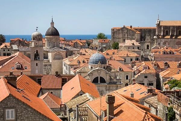 Looking across Dubrovniks terracotta tiled rooftops, Dubrovnik, Croatia, Europe