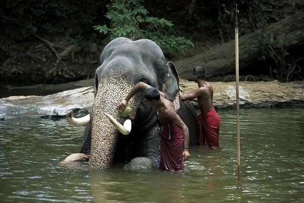 Two men washing an elephant in the river after a working day