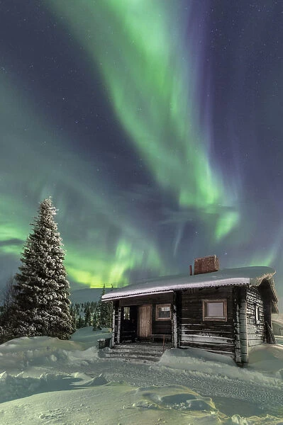The Northern Lights (Aurora borealis) frame the wooden hut in the snowy woods, Pallas