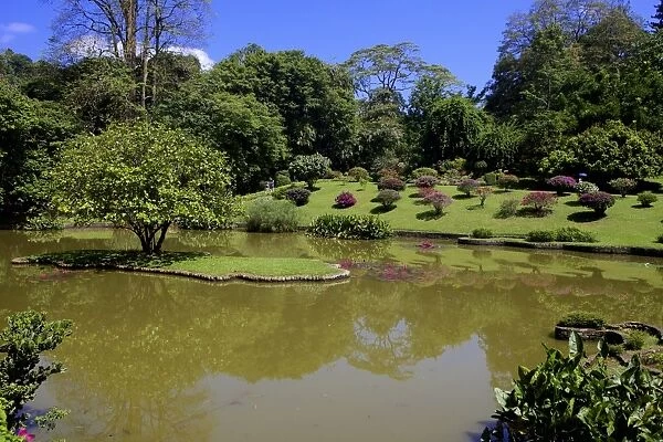 Royal Botanical Gardens, Peradeniya, Kandy, Sri Lanka, Asia