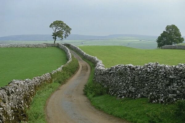 Rural landscape and road, Yorkshire, England, United Kingdom, Europe