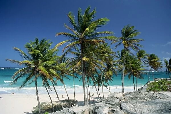 Tropical coastline at Bottom Bay, Barbados, West Indies, Caribbean, Central America