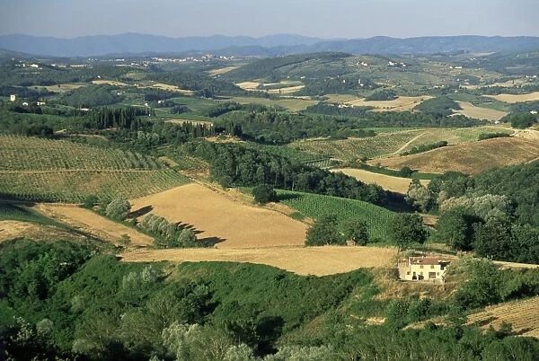 View across agricultural landscape