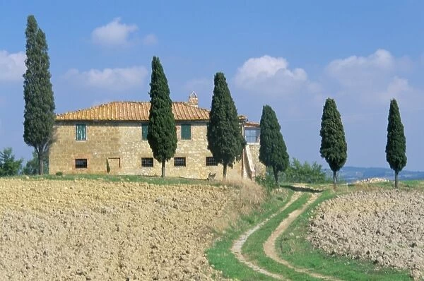 Villa with cypress trees