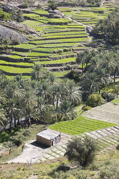 Oman, Dakhiliyah Governate, Jebel Hajar, Balad Sayt (Bilad Sayt)