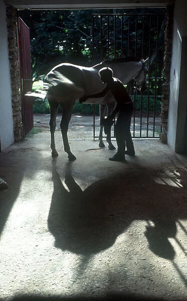 10093400. CUBA Havana Havana Lenin Park horse stables