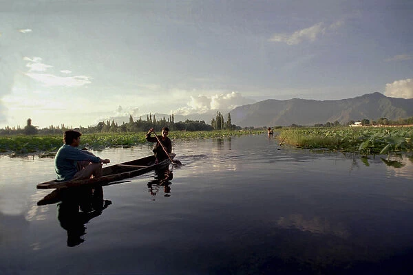 20046367. INDIA Kashmir Srinagar Nagin Lake. Two men in a canoe rowing with a single oar
