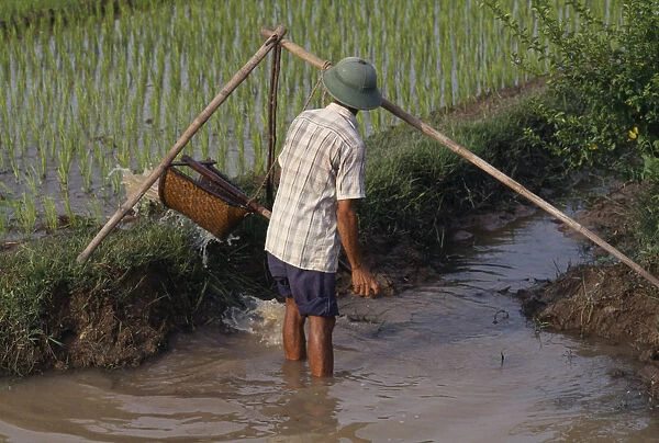 20075754. VIETNAM Farming Man using water irrigation in paddy